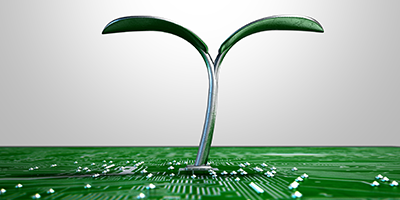 Photo of green leaf growing out of data grid