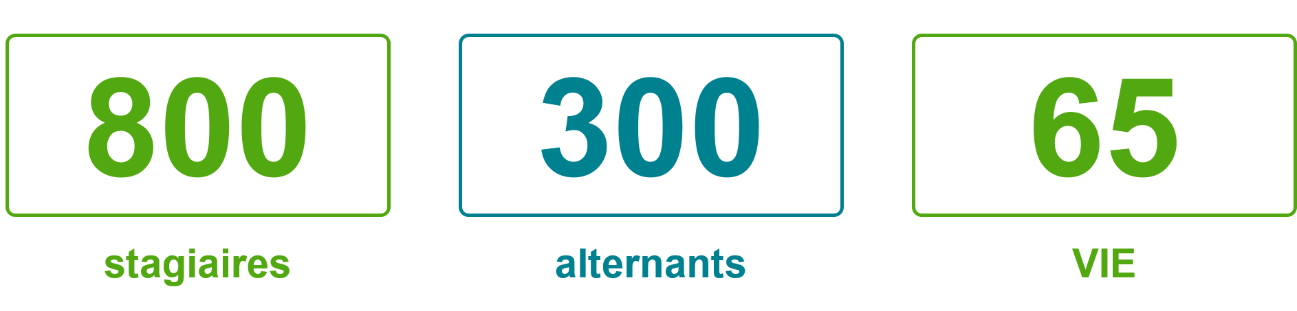 Chiffres clés : 800 stagiaires, 300 alternants et 65 VIE