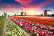 Pays-Bas